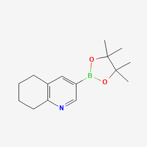 molecular formula C15H22BNO2 B597356 3-(4,4,5,5-Tetramethyl-1,3,2-dioxaborolan-2-yl)-5,6,7,8-tetrahydroquinoline CAS No. 1256360-50-5