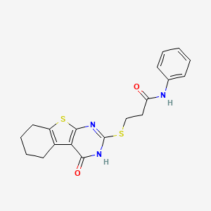 molecular formula C19H19N3O2S2 B5974090 3-[(4-oxo-3,4,5,6,7,8-hexahydro[1]benzothieno[2,3-d]pyrimidin-2-yl)thio]-N-phenylpropanamide 