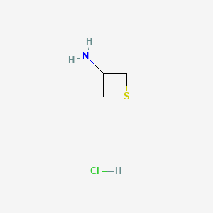 molecular formula C3H8ClNS B597542 硫杂环-3-胺盐酸盐 CAS No. 128861-78-9