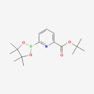 tert-Butyl 6-(4,4,5,5-tetramethyl-1,3,2-dioxaborolan-2-yl)picolinate