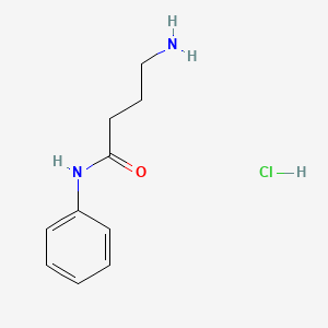 4-amino-N-phenylbutanamide hydrochloride