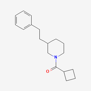 molecular formula C18H25NO B5976437 1-(cyclobutylcarbonyl)-3-(2-phenylethyl)piperidine 