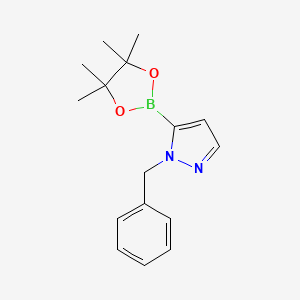 molecular formula C16H21BN2O2 B597652 1-Benzyl-5-(4,4,5,5-tetramethyl-1,3,2-dioxaborolan-2-yl)-1H-pyrazole CAS No. 1362243-50-2