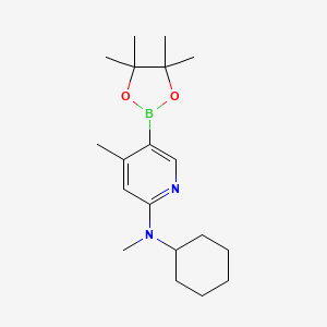 molecular formula C19H31BN2O2 B597699 n-Cyclohexyl-n,4-dimethyl-5-(4,4,5,5-tetramethyl-1,3,2-dioxaborolan-2-yl)pyridin-2-amine CAS No. 1353718-45-2