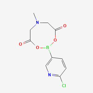 molecular formula C10H10BClN2O4 B597719 2-(6-Chloropyridin-3-yl)-6-methyl-1,3,6,2-dioxazaborocane-4,8-dione CAS No. 1257642-71-9