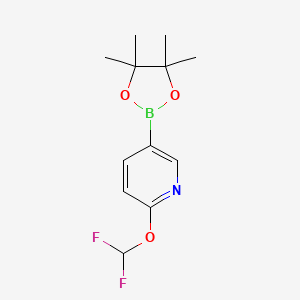 molecular formula C12H16BF2NO3 B597774 2-(Difluoromethoxy)-5-(4,4,5,5-tetramethyl-1,3,2-dioxaborolan-2-yl)pyridine CAS No. 1333222-12-0