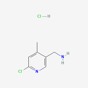 molecular formula C7H10Cl2N2 B597783 (6-Chloro-4-methylpyridin-3-YL)methanamine hydrochloride CAS No. 1257535-38-8