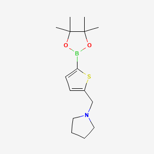 1-((5-(4,4,5,5-Tetramethyl-1,3,2-dioxaborolan-2-yl)thiophen-2-yl)methyl)pyrrolidine