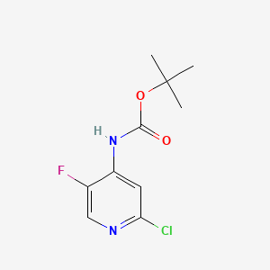 molecular formula C10H12ClFN2O2 B597838 Tert-butyl 2-chloro-5-fluoropyridin-4-ylcarbamate CAS No. 1354223-67-8