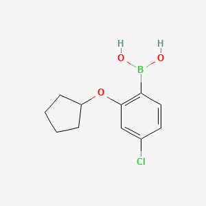 molecular formula C11H14BClO3 B597841 (4-Chloro-2-(cyclopentyloxy)phenyl)boronic acid CAS No. 1256355-05-1