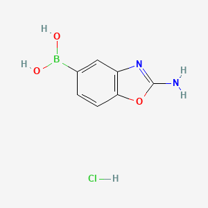 molecular formula C7H8BClN2O3 B597885 (2-氨基苯并[d]恶唑-5-基)硼酸盐酸盐 CAS No. 1224844-65-8