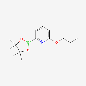 molecular formula C14H22BNO3 B597899 2-Propoxy-6-(4,4,5,5-tetramethyl-1,3,2-dioxaborolan-2-yl)pyridine CAS No. 1309982-31-7