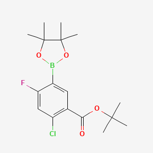 molecular formula C17H23BClFO4 B597968 叔丁基 2-氯-4-氟-5-(4,4,5,5-四甲基-1,3,2-二氧杂硼环-2-基)苯甲酸酯 CAS No. 1218789-89-9