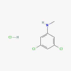 molecular formula C7H8Cl3N B598031 3,5-二氯-N-甲基苯胺盐酸盐 CAS No. 1197239-04-5