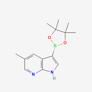 molecular formula C14H19BN2O2 B598054 5-Methyl-3-(4,4,5,5-tetramethyl-1,3,2-dioxaborolan-2-yl)-1H-pyrrolo[2,3-b]pyridine CAS No. 1198096-23-9