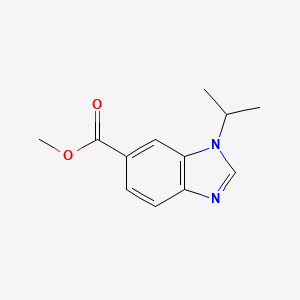 molecular formula C12H14N2O2 B598081 Methyl 1-isopropyl-1H-benzo[d]imidazole-6-carboxylate CAS No. 1199773-14-2