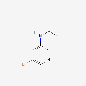 molecular formula C8H11BrN2 B598176 5-bromo-N-isopropylpyridin-3-amine CAS No. 1201643-57-3