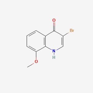 molecular formula C10H8BrNO2 B598181 3-溴-4-羟基-8-甲氧基喹啉 CAS No. 1204811-42-6