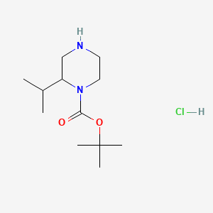 molecular formula C12H25ClN2O2 B598209 tert-Butyl 2-isopropylpiperazine-1-carboxylate hydrochloride CAS No. 1203011-26-0