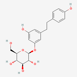 molecular formula C20H24O8 B598288 Dihydroresveratrol 3-O-glucoside CAS No. 100432-87-9