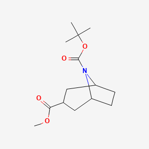 molecular formula C14H23NO4 B598390 Methyl 8-Boc-8-azabicyclo[3.2.1]octane-3-carboxylate CAS No. 1204809-88-0