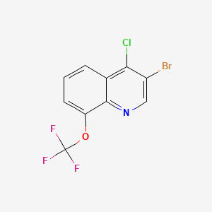molecular formula C10H4BrClF3NO B598443 3-溴-4-氯-8-(三氟甲氧基)喹啉 CAS No. 1204812-16-7