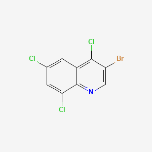 B598457 3-Bromo-4,6,8-trichloroquinoline CAS No. 1204811-80-2