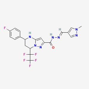 molecular formula C20H17F6N7O B5984572 5-(4-fluorophenyl)-N'-[(1-methyl-1H-pyrazol-4-yl)methylene]-7-(pentafluoroethyl)-4,5,6,7-tetrahydropyrazolo[1,5-a]pyrimidine-2-carbohydrazide 