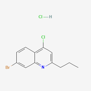 molecular formula C12H12BrCl2N B598494 4-Chloro-7-bromo-2-propylquinoline hydrochloride CAS No. 1204811-63-1