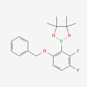 molecular formula C19H21BF2O3 B598611 2,3-Difluoro-6-(benzyloxy)phenylboronic acid pinacol ester CAS No. 1204580-70-0
