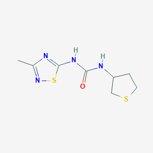 molecular formula C8H12N4OS2 B5986884 1-(3-Methyl-1,2,4-thiadiazol-5-yl)-3-(thiolan-3-yl)urea 