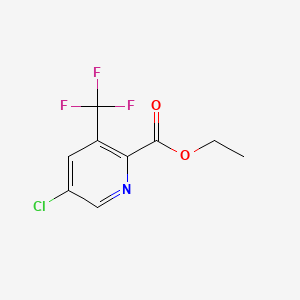 molecular formula C9H7ClF3NO2 B598692 Ethyl 5-chloro-3-(trifluoromethyl)-2-pyridinecarboxylate CAS No. 1198475-50-1