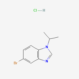molecular formula C10H12BrClN2 B598696 5-Bromo-1-isopropyl-1H-benzo[d]imidazole hydrochloride CAS No. 1199773-32-4