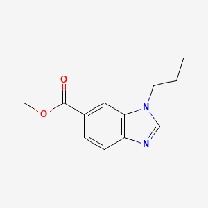 molecular formula C12H14N2O2 B598699 1-丙基苯并咪唑-6-甲酸甲酯 CAS No. 1199773-30-2