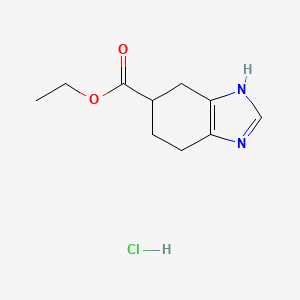 molecular formula C10H15ClN2O2 B598701 Ethyl 4,5,6,7-tetrahydro-1H-benzo[d]imidazole-6-carboxylate hydrochloride CAS No. 167545-99-5