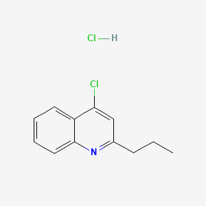 molecular formula C12H13Cl2N B598704 4-Chloro-2-propylquinoline hydrochloride CAS No. 1204810-20-7