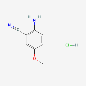molecular formula C8H9ClN2O B598724 2-Amino-5-methoxybenzonitrile hydrochloride CAS No. 115661-38-6