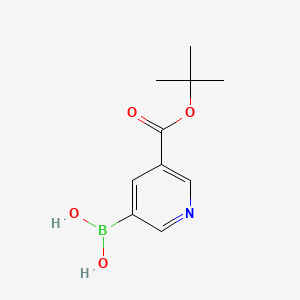 molecular formula C10H14BNO4 B598737 (5-(叔丁氧羰基)吡啶-3-基)硼酸 CAS No. 1203649-61-9