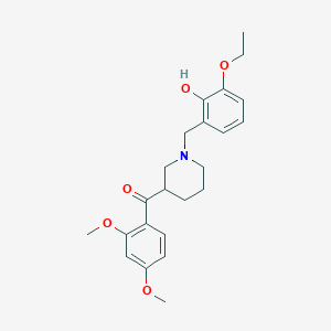 (2,4-dimethoxyphenyl)[1-(3-ethoxy-2-hydroxybenzyl)-3-piperidinyl]methanone