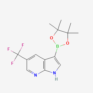 molecular formula C14H16BF3N2O2 B598772 3-(4,4,5,5-Tetramethyl-1,3,2-dioxaborolan-2-yl)-5-(trifluoromethyl)-1H-pyrrolo[2,3-b]pyridine CAS No. 1198094-97-1