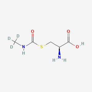 molecular formula C5H10N2O3S B598777 S-(N-Methyl-d3-carbamoyl)-L-cysteine CAS No. 127633-26-5