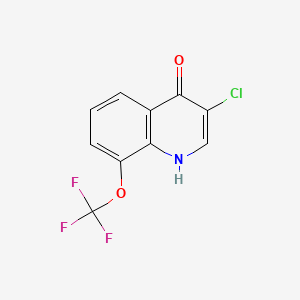 molecular formula C10H5ClF3NO2 B598820 3-Chloro-8-(trifluoromethoxy)quinolin-4(1H)-one CAS No. 1204812-03-2