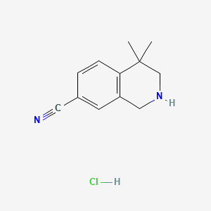 molecular formula C12H15ClN2 B598863 4,4-二甲基-1,2,3,4-四氢异喹啉-7-碳腈盐酸盐 CAS No. 1203682-40-9
