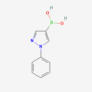 molecular formula C9H9BN2O2 B598970 (1-苯基-1H-吡唑-4-基)硼酸 CAS No. 1201643-70-0