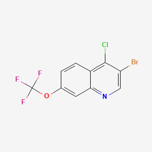 B599017 3-Bromo-4-chloro-7-(trifluoromethoxy)quinoline CAS No. 1204811-49-3