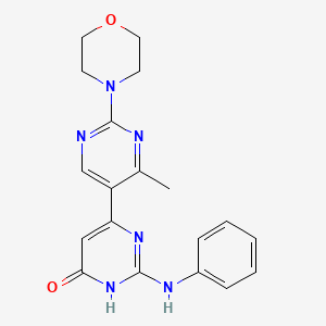 molecular formula C19H20N6O2 B5990173 4'-METHYL-2'-(MORPHOLIN-4-YL)-2-(PHENYLAMINO)-1,6-DIHYDRO-[4,5'-BIPYRIMIDIN]-6-ONE 