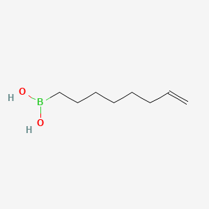 molecular formula C8H17BO2 B599090 Oct-7-enylboronic acid CAS No. 1198772-66-5
