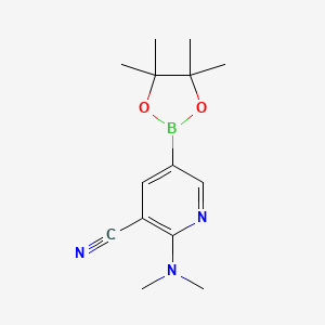 molecular formula C14H20BN3O2 B599150 2-(二甲氨基)-5-(4,4,5,5-四甲基-1,3,2-二氧杂硼环-2-基)烟腈 CAS No. 1346809-50-4
