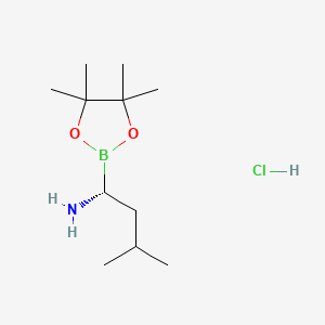 molecular formula C11H25BClNO2 B599158 (R)-3-Methyl-1-(4,4,5,5-tetramethyl-1,3,2-dioxaborolan-2-yl)butan-1-amine hydrochloride CAS No. 1243174-57-3