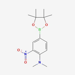 molecular formula C14H21BN2O4 B599207 N,N-二甲基-2-硝基-4-(4,4,5,5-四甲基-1,3,2-二氧杂硼环-2-基)苯胺 CAS No. 1218791-24-2